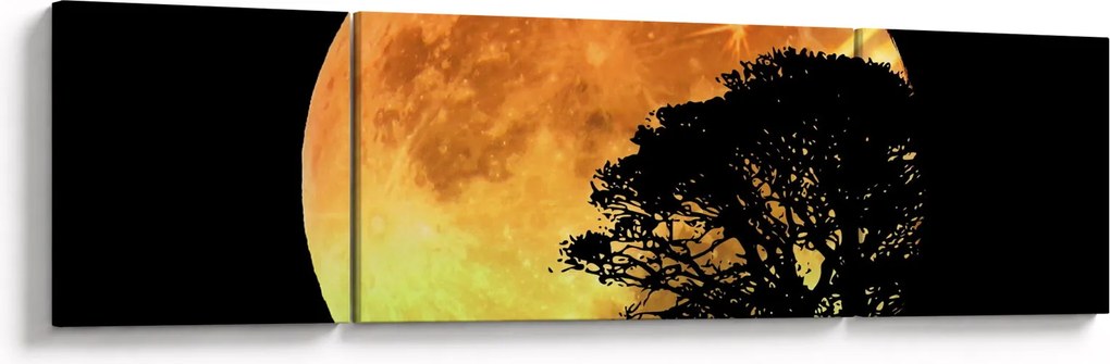 Obraz cieni w świetle księżyca (170x50 cm)
