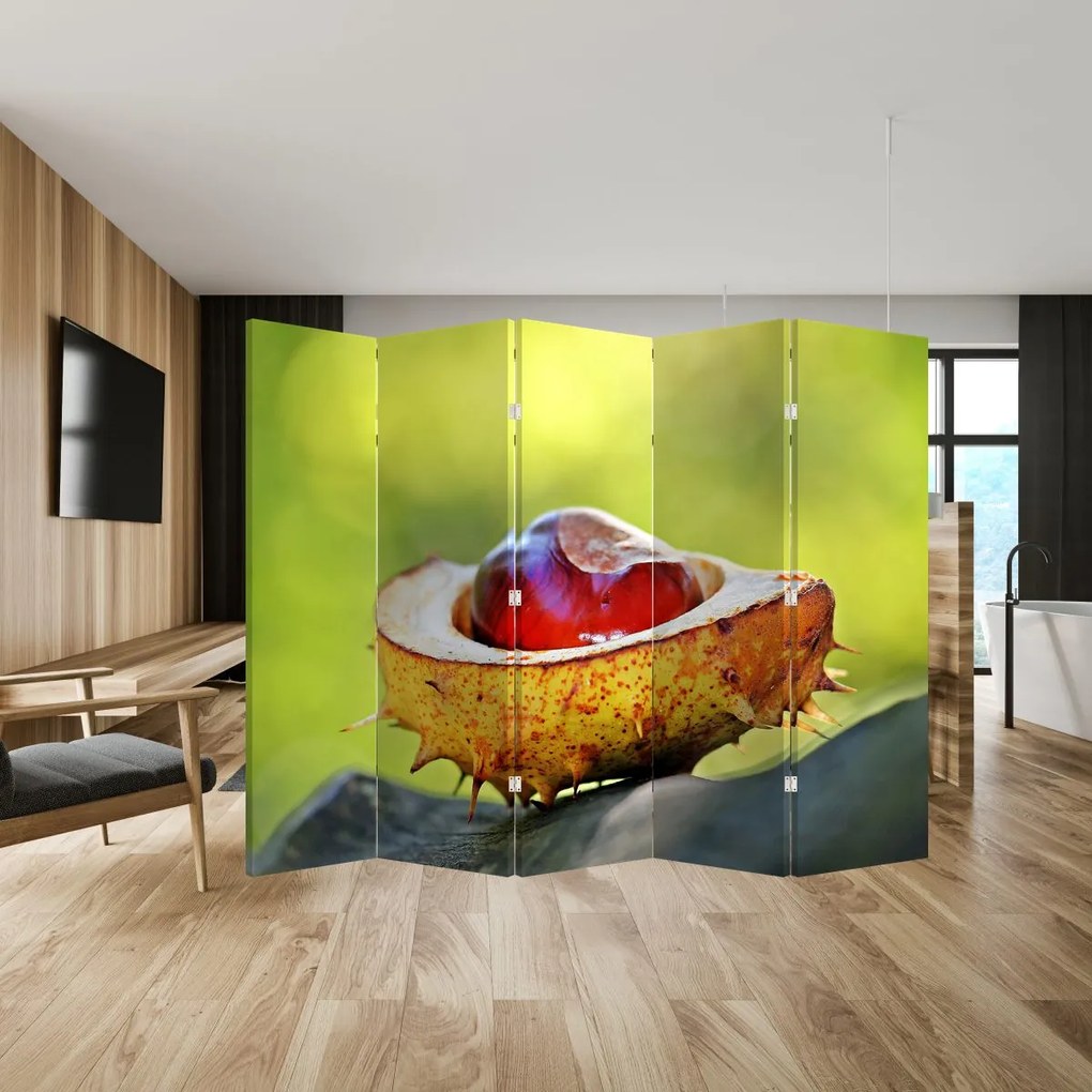 Parawan - Kasztan (210x170 cm)