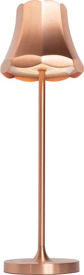 Zestaw 2 lamp stołowych Retro Miedziane Ładowalne IP44 - Granny