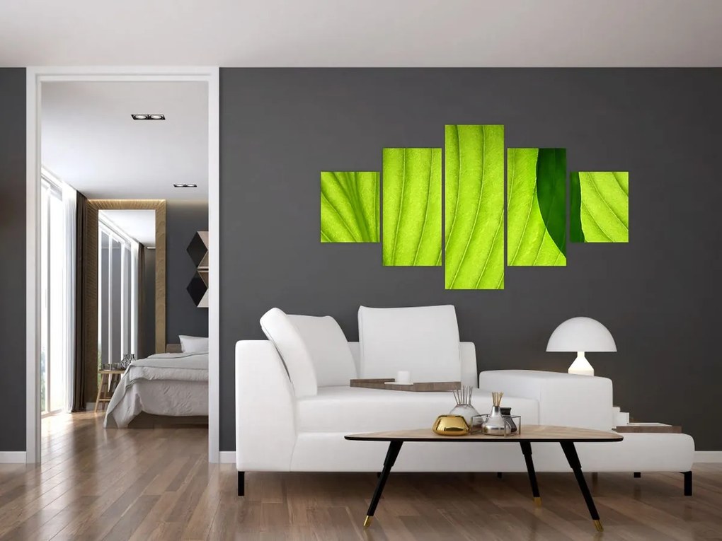 Obraz - Szczegół zielonego liścia (125x70 cm)