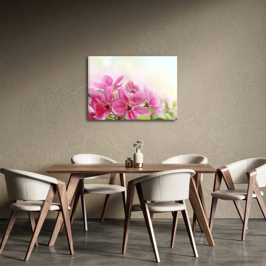 Obraz - Różowe kwiaty (70x50 cm)
