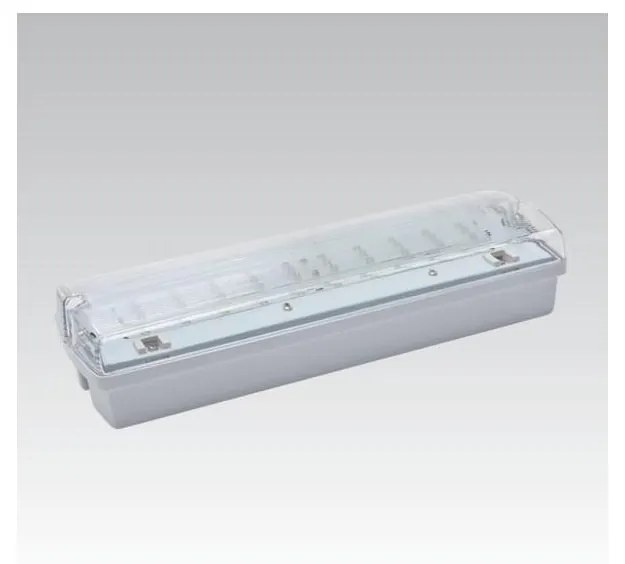 Oprawa awaryjna CARLA LED LED/5,51W/230V IP65