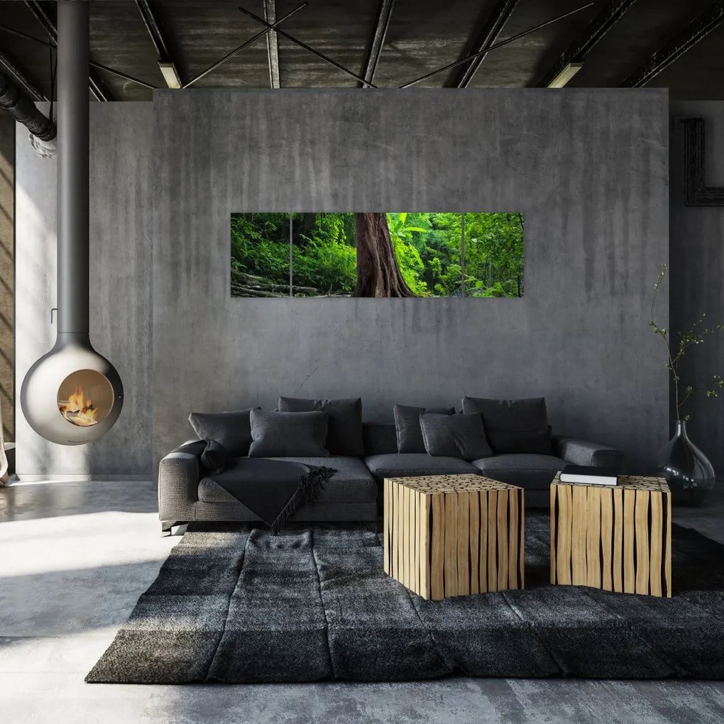 Obraz - Stare drzewo z korzeniami (170x50 cm)