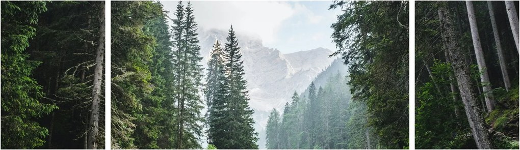 Obraz leśnego jeziora (170x50 cm)