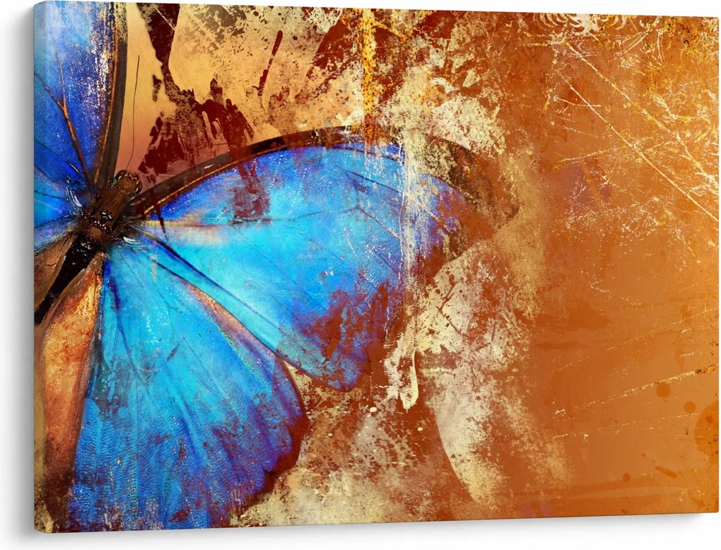 Obraz - Niebieski motyl (70x50 cm)