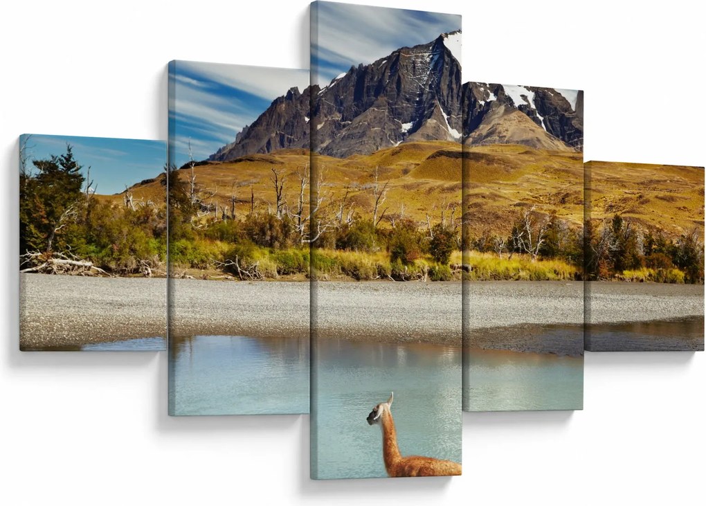 Obraz - Park Narodowy Torres del Paine (125x70 cm)