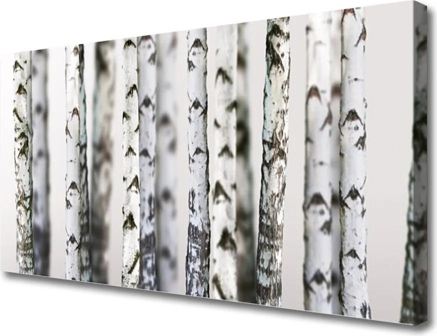 Obraz canvas Gęsta Korona Drzew