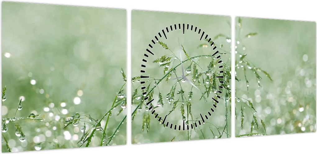 Obraz - Poranna rosa na źdźbłach trawy (z zegarem) (90x30 cm)