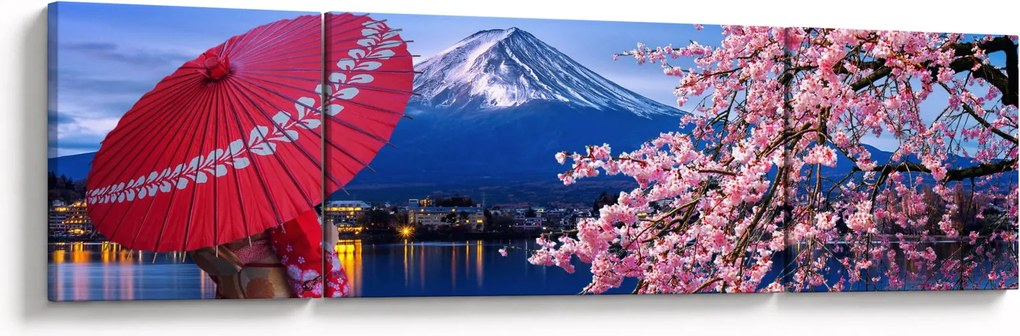 Obraz - Widok na szczyt, Japonia (170x50 cm)
