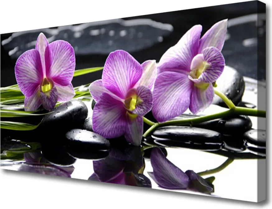 Obraz na płótnie Biała Orchidea na Płótnie