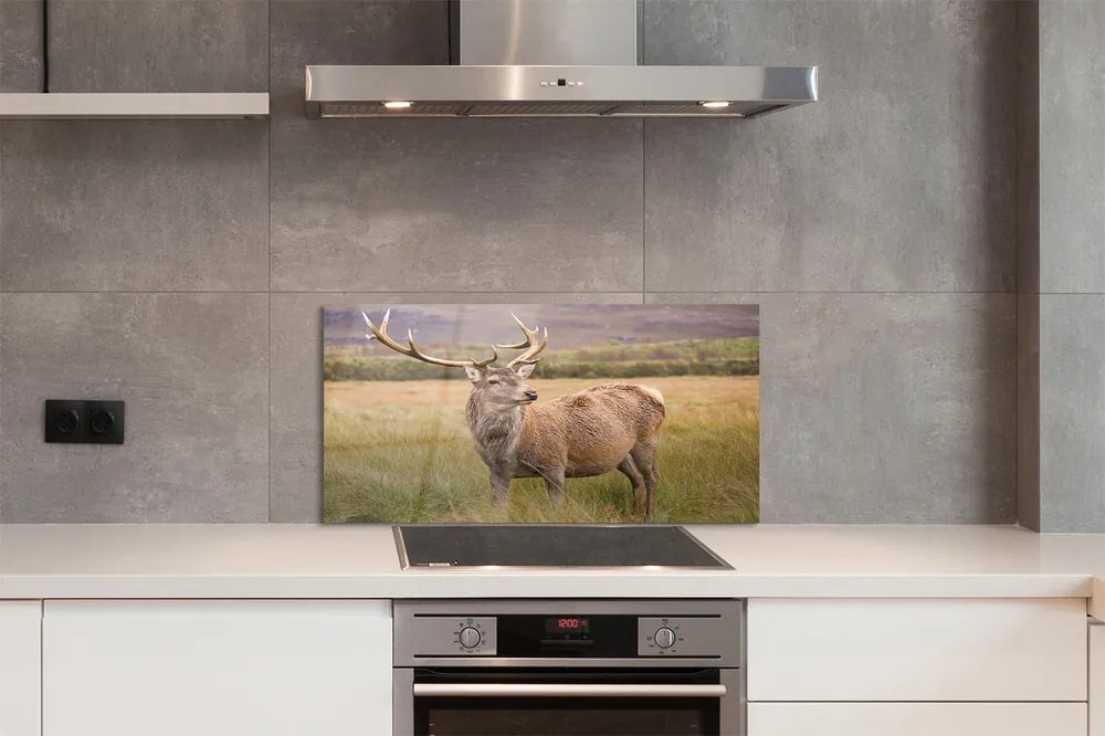 Panel Szklany Samotny Jeleń na tle Horyzontu