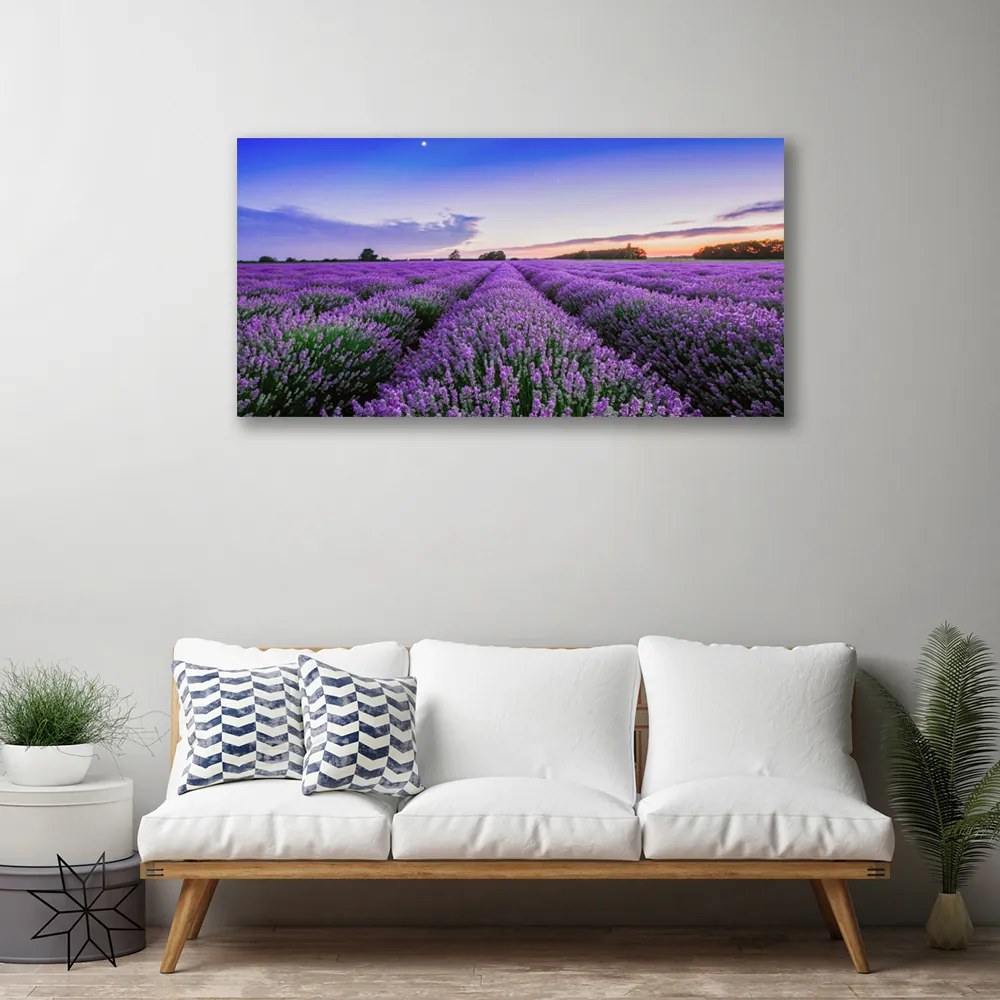 Obraz na płótnie Letnia Łąka Pełna Kwiatów