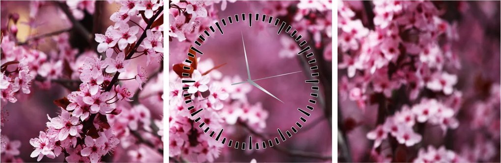 Obraz - Różowa sakura (z zegarem) (90x30 cm)