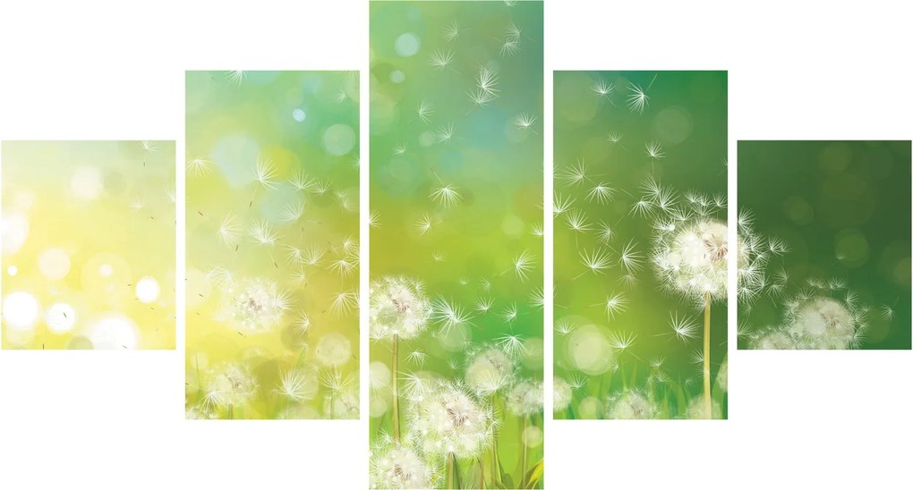 Obraz - Kwitnące mlecze (125x70 cm)