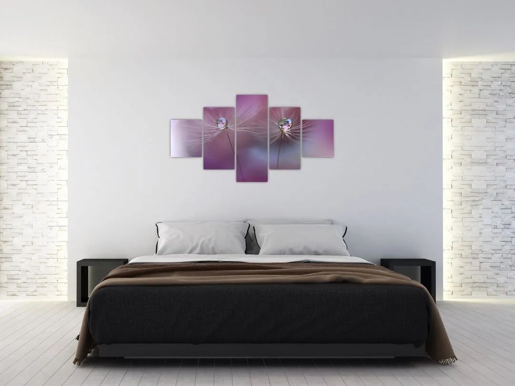Obraz kropelek na puchu (125x70 cm)