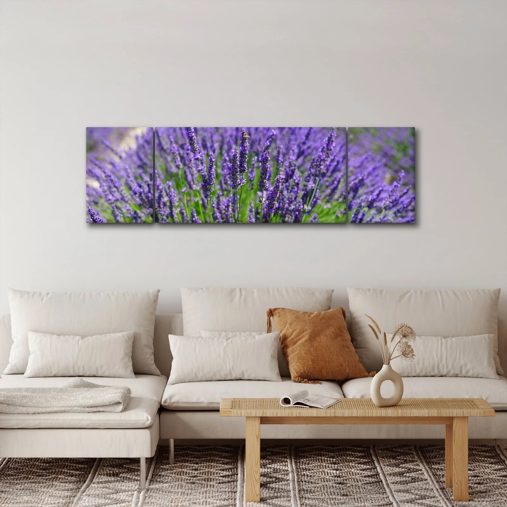 Obraz - lawenda (170x50 cm)