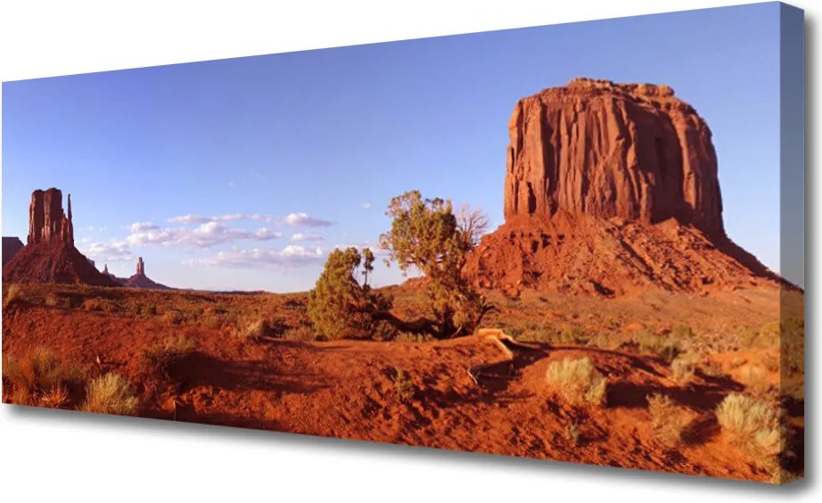 Obraz na płótnie Piaszczyste Wydmy Pustyni