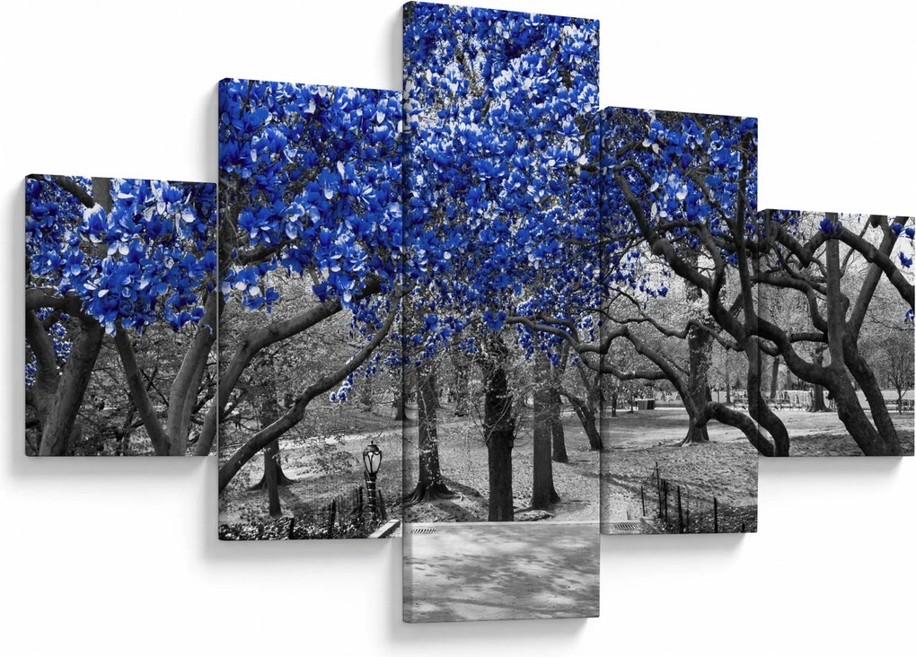 Obraz - Niebieskie drzewa, Central Park, New York (125x70 cm)