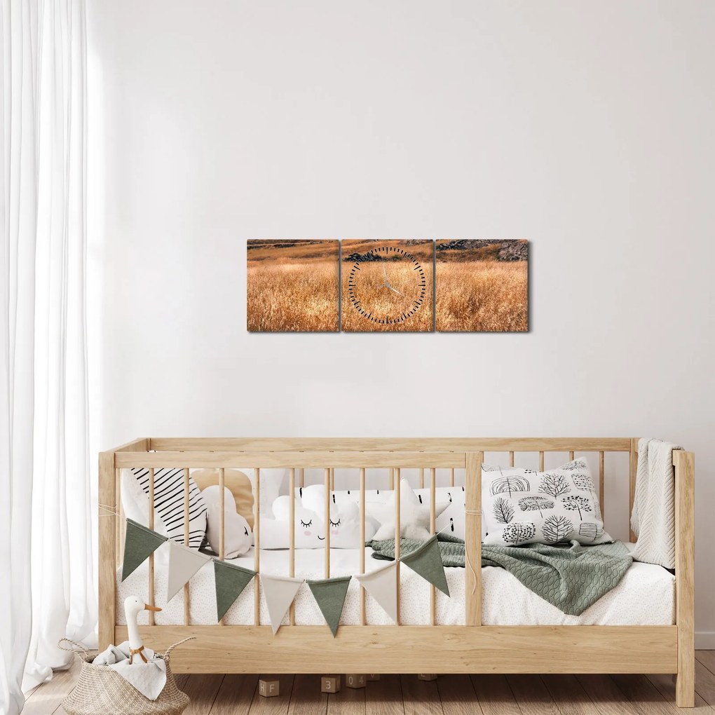 Obraz pola (z zegarem) (90x30 cm)
