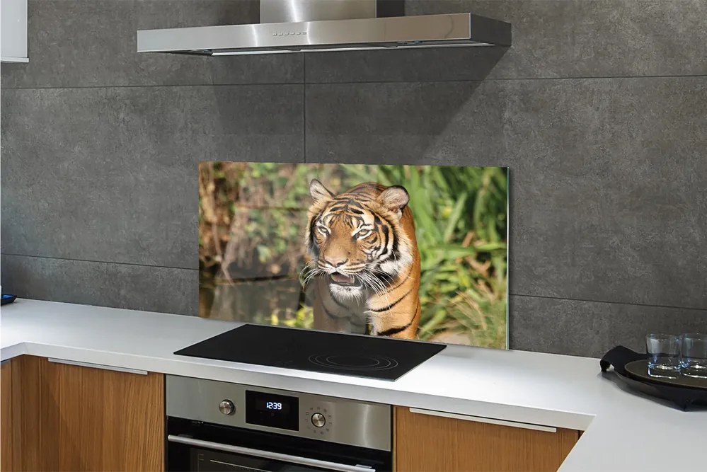 Panel szklany do Kuchni Tygrys na Leśnej Ścieżce