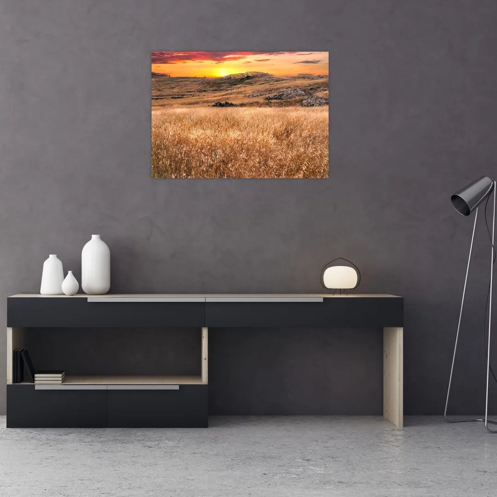 Obraz na szkle - pole (70x50 cm)
