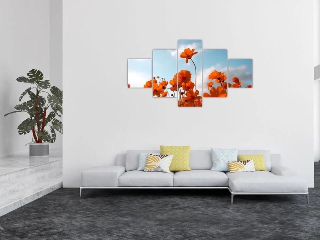 Obraz - Łąkowe kwiaty (125x70 cm)