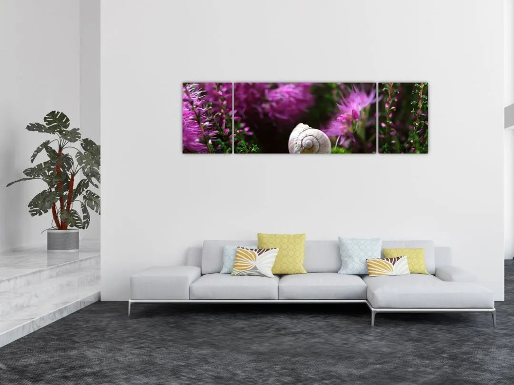 Obraz - Muszla ślimaka (170x50 cm)