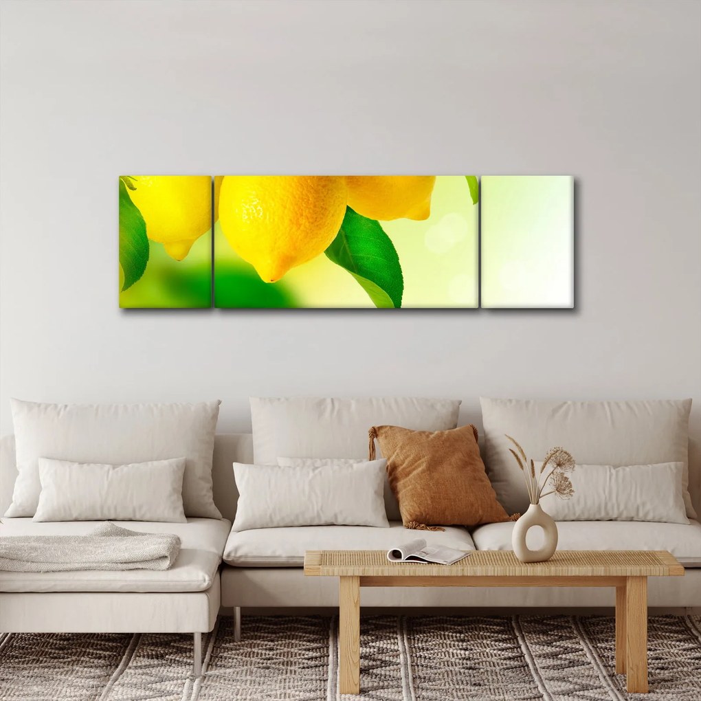 Obraz cytryn (170x50 cm)