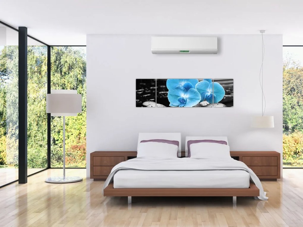 Obraz - Niebieska Orchidea (170x50 cm)