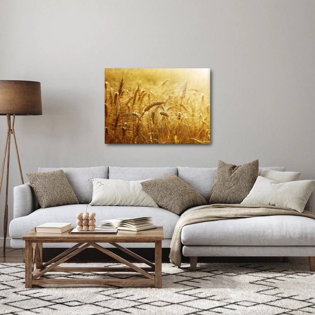 Obraz - Kłosy zboża (70x50 cm)