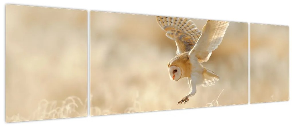 Obraz - Sowa (170x50 cm)