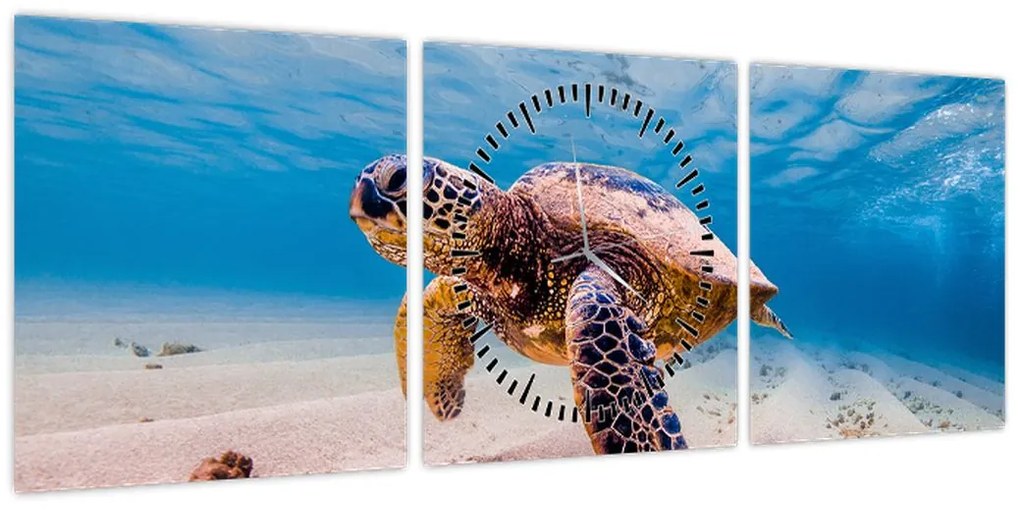 Obraz żółwia w oceanie (z zegarem) (90x30 cm)