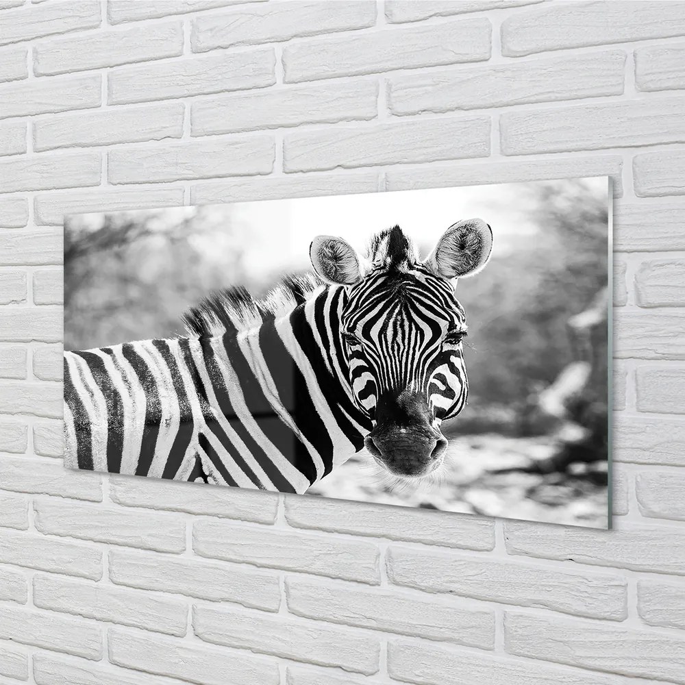 Szklany Panel Retro zebra