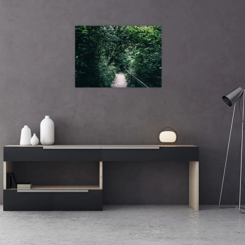Obraz - Ścieżka przez las (70x50 cm)