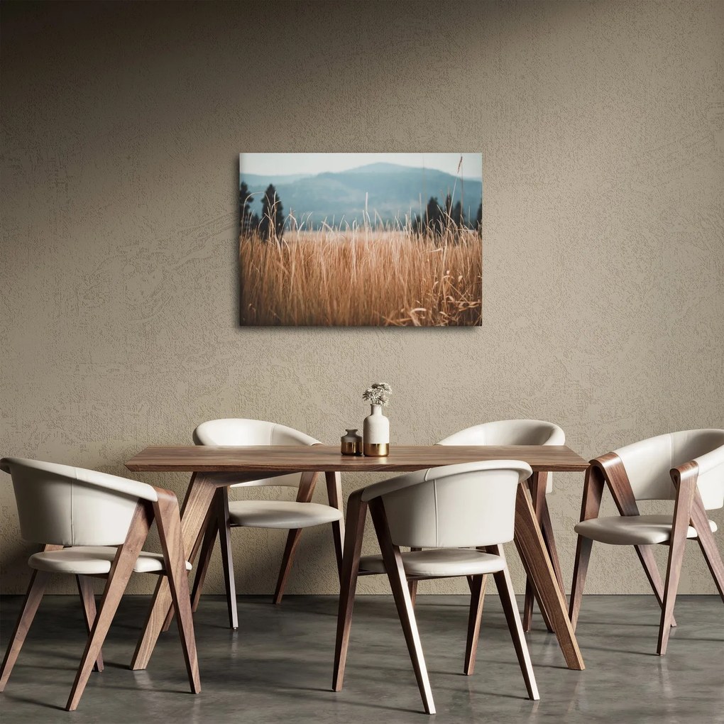 Obraz - szczegół łąki (70x50 cm)