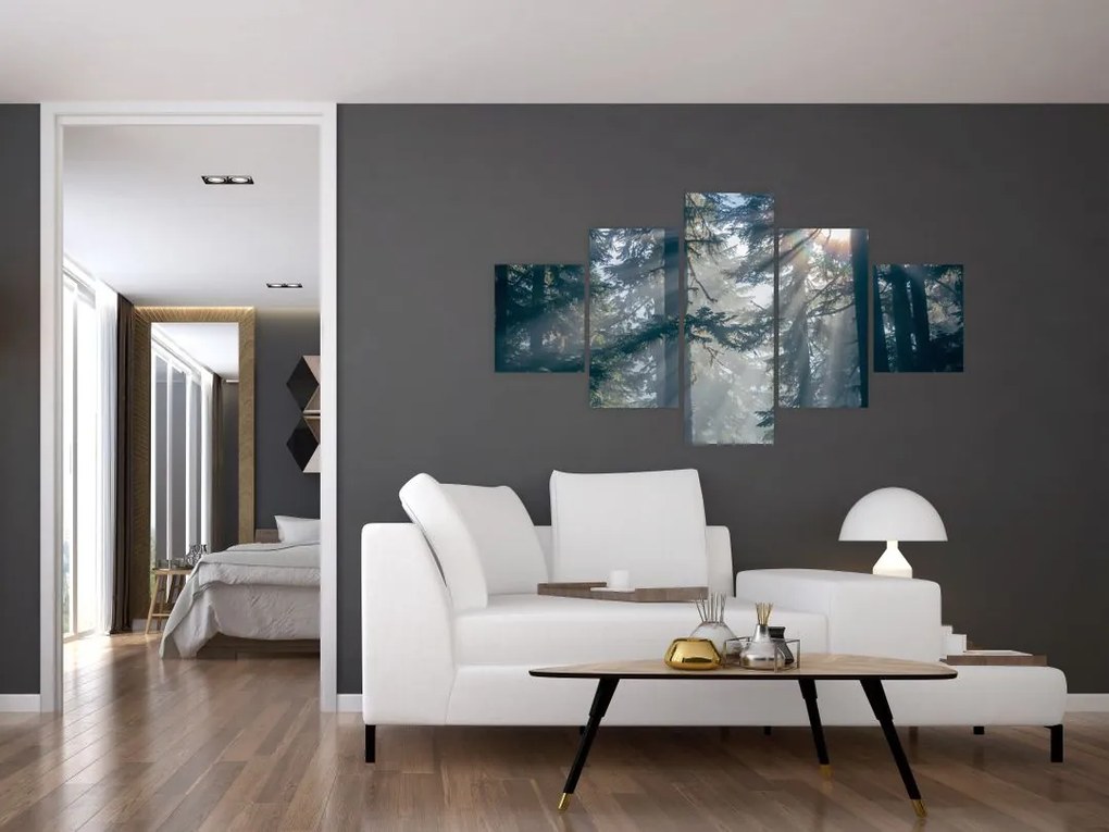 Obraz drzew, przez które prześwieca słońce (125x70 cm)