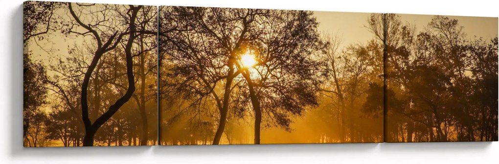 Obraz wschodu słońca (170x50 cm)