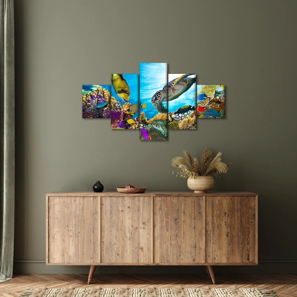 Obraz rafy koralowej (125x70 cm)