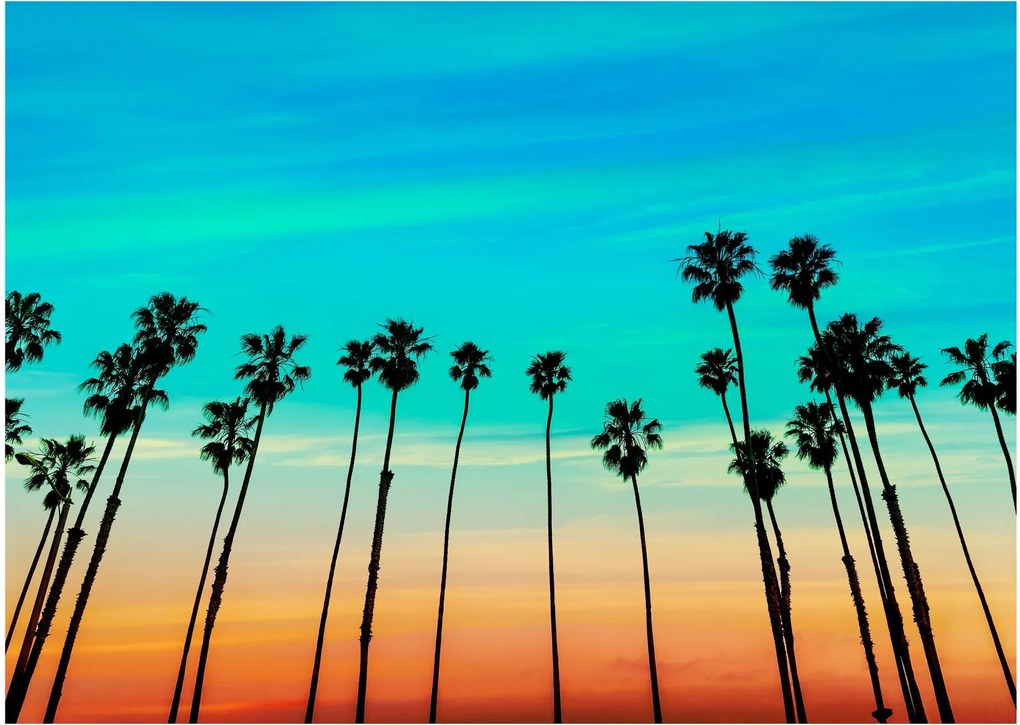Obraz na szkle - Kalifornia (70x50 cm)
