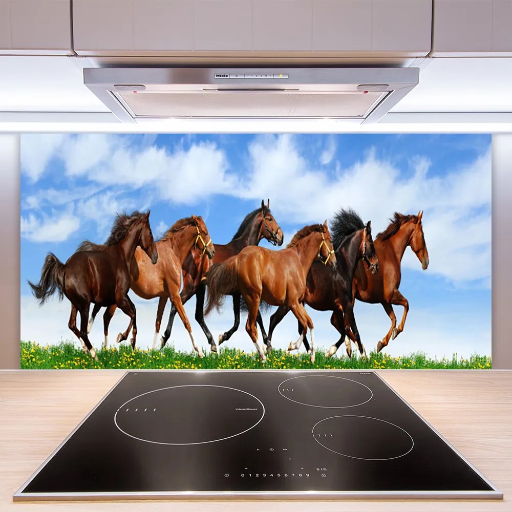 Szkło nad Blatem Dzikie Konie w Galopie