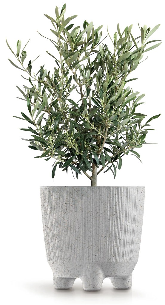 Doniczka Ryfo N ECO Wood 19,5 cm kawa ECO PROSPERPLAST
