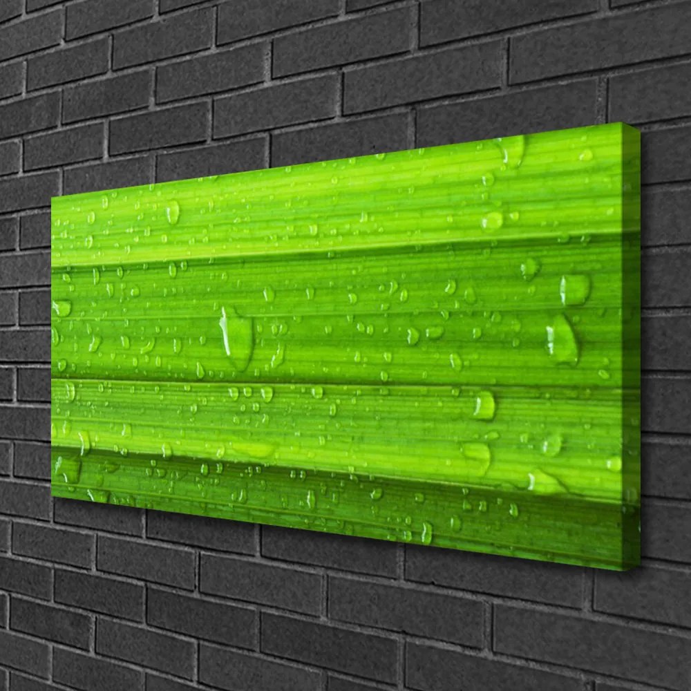 Obraz canvas Soczysta Zieleń Polany