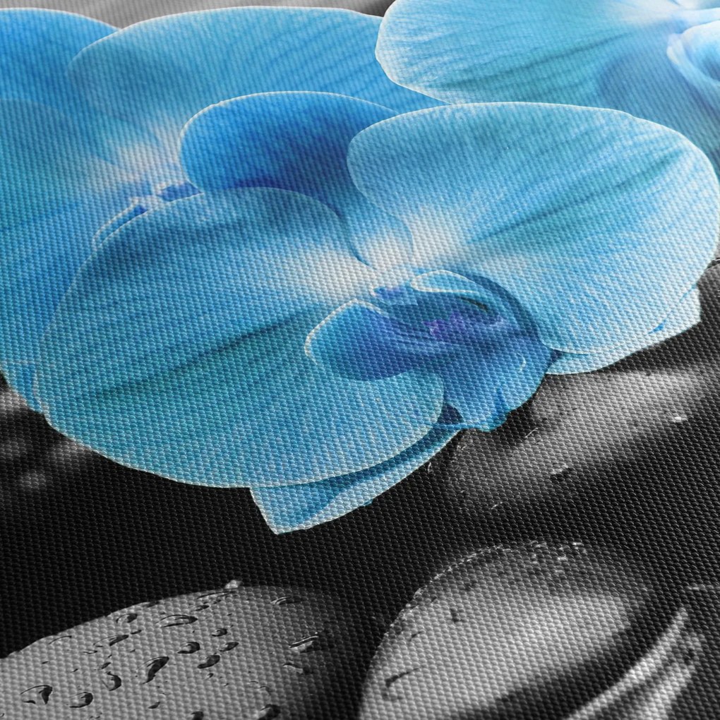 Obraz - Niebieska Orchidea (125x70 cm)
