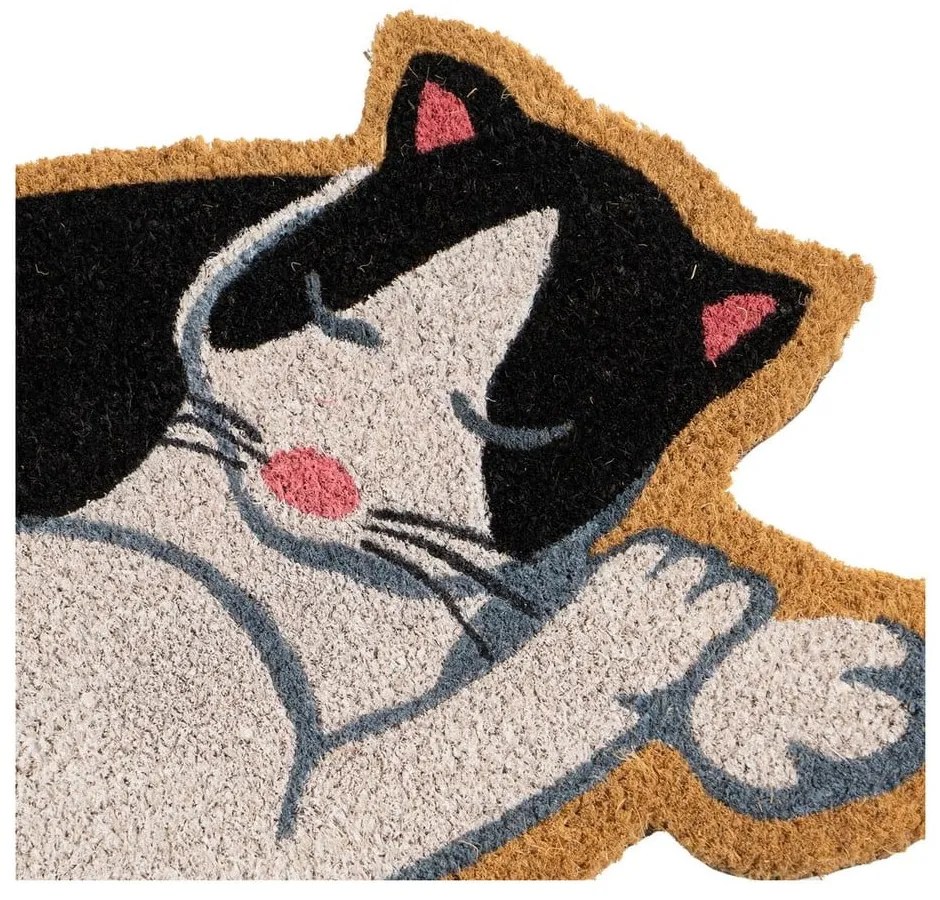 Wycieraczka z włókna kokosowego 40x60 cm Cat – Casa Selección