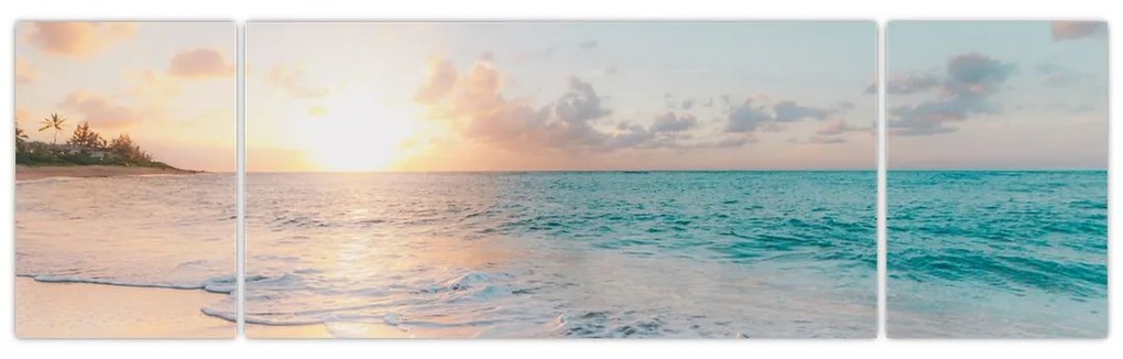 Obraz - Wymarzona plaża (170x50 cm)