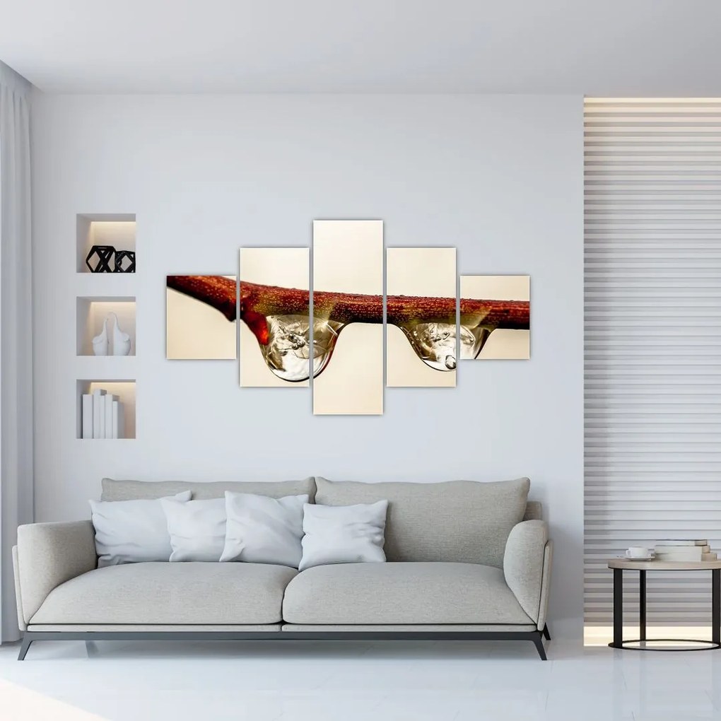 Obraz kropli na gałęzi (125x70 cm)