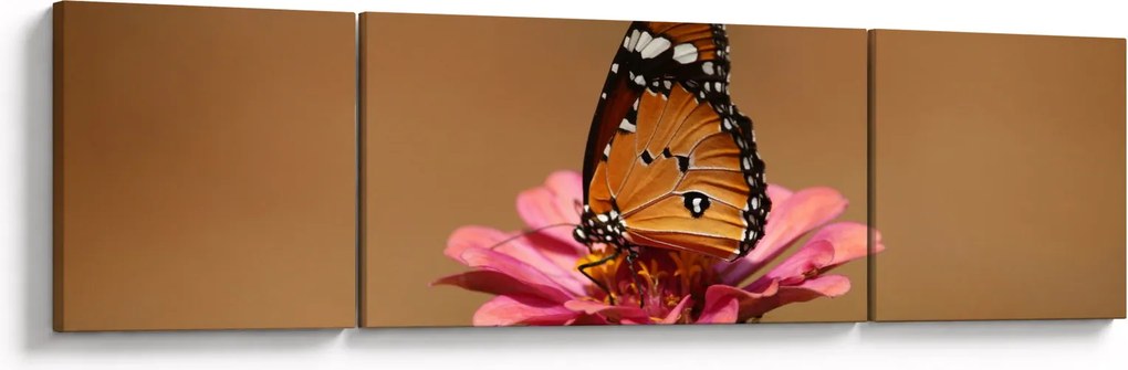 Obraz motyla na kwiatku (170x50 cm)