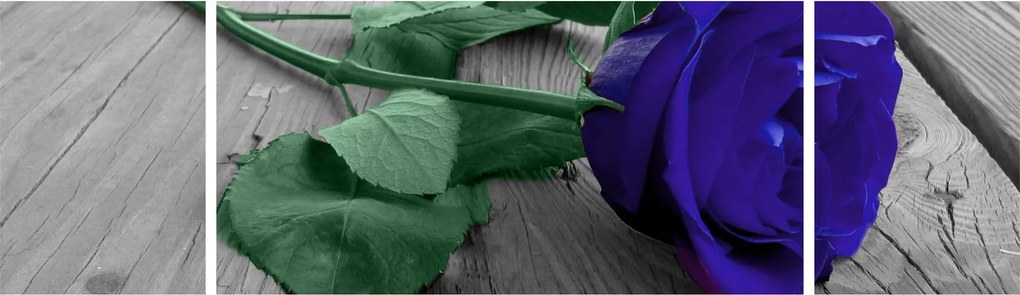 Obraz - Niebieska róża z zieloną łodygą (170x50 cm)