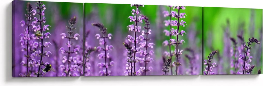Obraz fioletowych kwiatów polnych (170x50 cm)