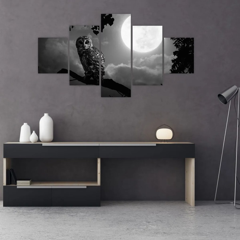 Obraz - Nocna sowa, czarno-biały (125x70 cm)
